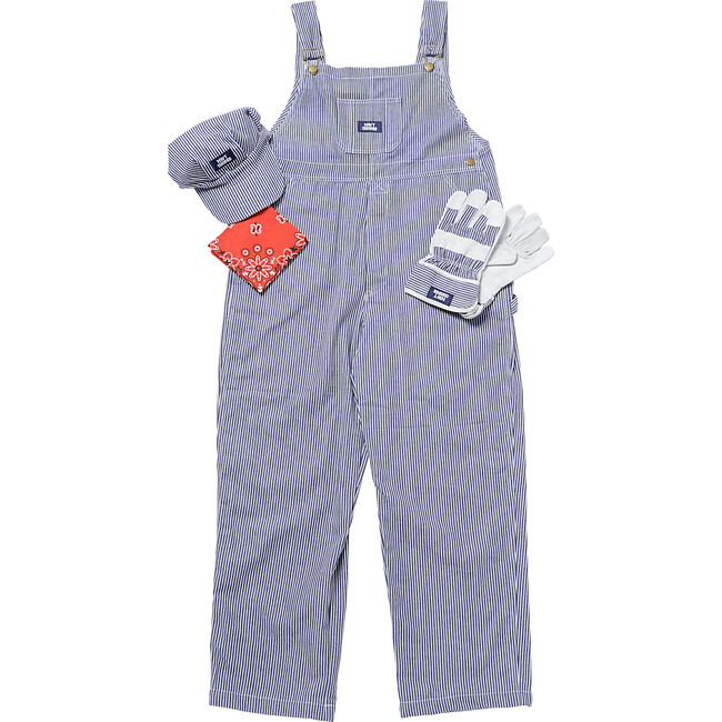 Adult Train Engineer w/Cap