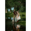 Neomi Dress, Cornflower Lane - Dresses - 2