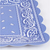 Western Bandana Square Plates - Party - 3