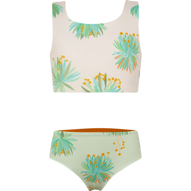 Frailejones Crudo, Sun&Moon Bikini