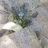 Enchanted Wildflowers, Baby Duvet Set, Ivory - Duvet Sets - 7