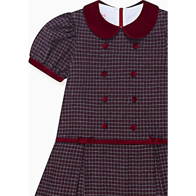 Burgundy Check Camala Girl Drop Waist Dress - Dresses - 3