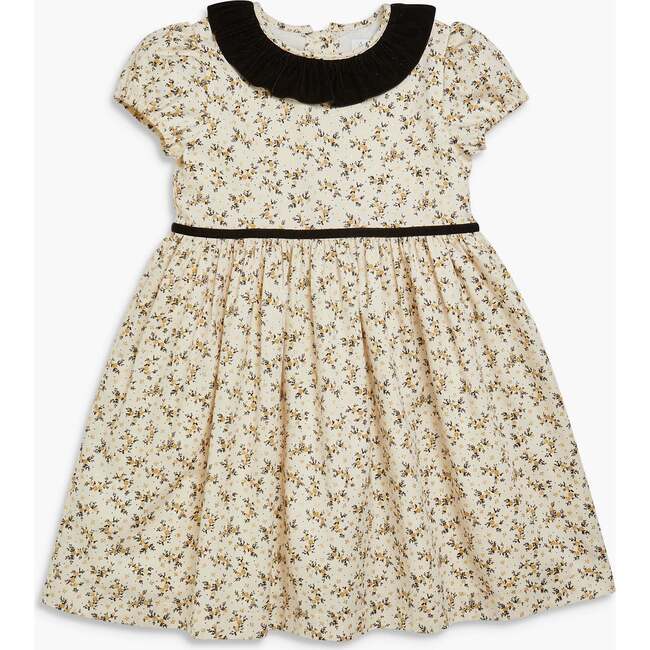 Raisin Dress Black/Gold Floral