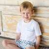 Hudson Boys' Short Set, Mallard Ducks - Mixed Apparel Set - 3