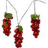 75-Light LED Large Purple Grape Light Set - Other Accents - 1 - thumbnail