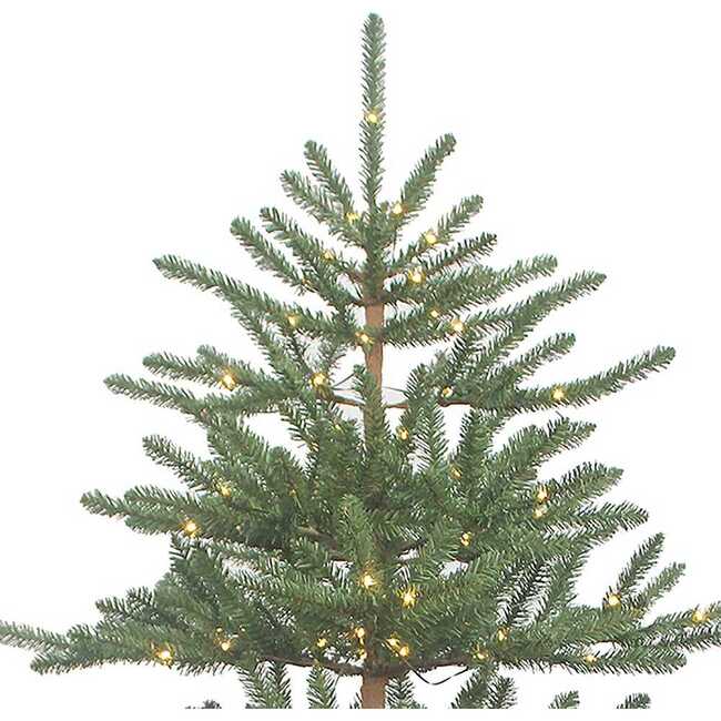 7-Foot Pre-Lit Warm White LED Mountain Pine Tree - Other Accents - 3