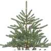7-Foot Pre-Lit Warm White LED Mountain Pine Tree - Other Accents - 3