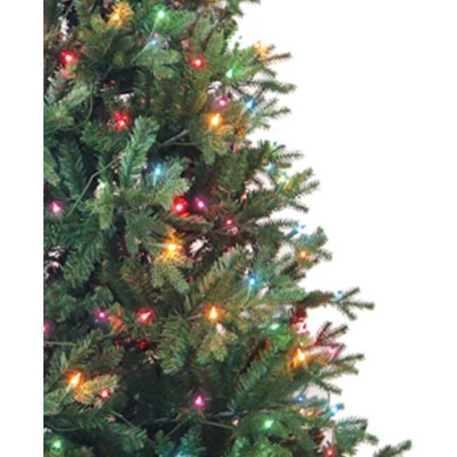 7-Foot Pre-Lit Multi-Color Incandescent Jackson Pine Tree - Other Accents - 3
