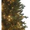 7.5-Foot Pre-Lit Warm White LED Noble Fir Tree - Other Accents - 2