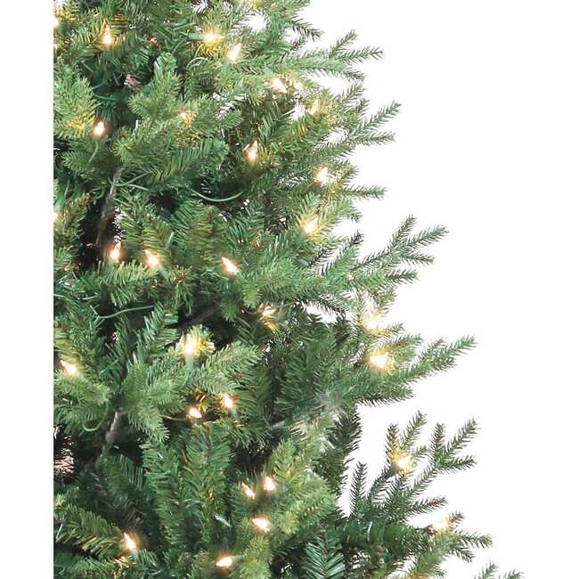 6-Foot Pre-Lit Clear Incandescent Jackson Pine Tree - Other Accents - 2