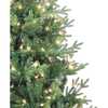 6-Foot Pre-Lit Clear Incandescent Jackson Pine Tree - Other Accents - 2