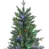 6-Foot Pre-Lit Multi-Colored LED Jackson Pine Tree - Other Accents - 3