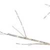 5-Foot White Birch Twinkle Warm White Fairy LED Twig Tree - Other Accents - 2