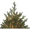 5-Foot Pre-Lit Warm White LED Noble Fir Tree - Other Accents - 3