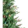 5-Foot Pre-Lit Multi-Color Incandescent Jackson Pine Tree - Other Accents - 2