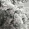 5-Foot Pre-Lit Warm White LED Snow Pine Tree - Other Accents - 4