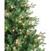 5-Foot Pre-Lit Clear Incandescent Jackson Pine Tree - Other Accents - 2