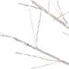 4-Foot White Branch Twinkle Warm White Fairy LED Twig Tree - Other Accents - 2