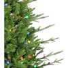 4-Foot Pre-Lit Multi-Color LED Timberland Tree - Other Accents - 2