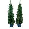 5-Foot Pre-Lit Potted Tree Set (Set of 2 Trees) - Other Accents - 2