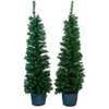 5-Foot Pre-Lit Potted Tree Set (Set of 2 Trees) - Other Accents - 3