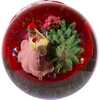 5.5-Inch Clara with Nutcracker Musical Water globe - Other Accents - 6