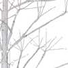 3-Foot White Birch Tree with Warm White LED 8 Function Lights - Other Accents - 2