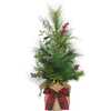 24-Inch Berries and Plaid Ribbon Green Tree - Other Accents - 1 - thumbnail