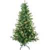 5-Foot Pre-Lit Clear Incandescent Jackson Pine Tree - Other Accents - 3