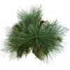 24-Inch Berries and Plaid Ribbon Green Tree - Other Accents - 6