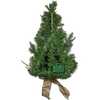 22-Inch Battery-Operated Prelit Decorated Wall Tree with Champagne Bow - Other Accents - 4
