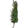 22-Inch Battery-Operated Prelit Decorated Wall Tree with Champagne Bow - Other Accents - 6