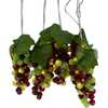 100-Light Green and Burgundy LED Grape Light Set with 5 Grape Bunches - Other Accents - 1 - thumbnail