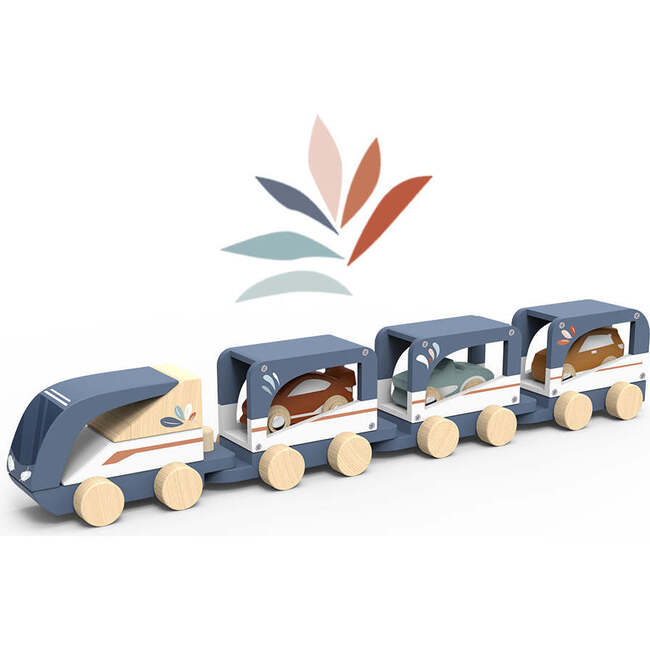 Train Vehicle Carrier
