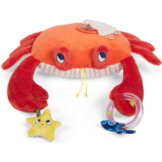 Large Activity Crab Paulie's Adventure - Plush - 1