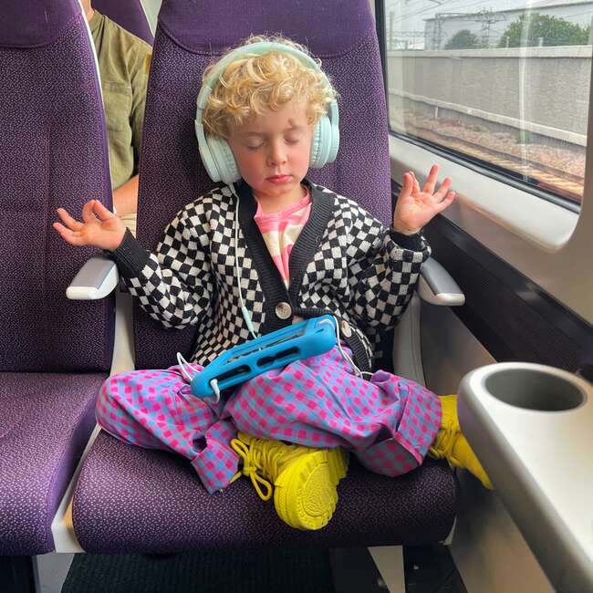 Purple Plaid Pants, Plaid - Pants - 2