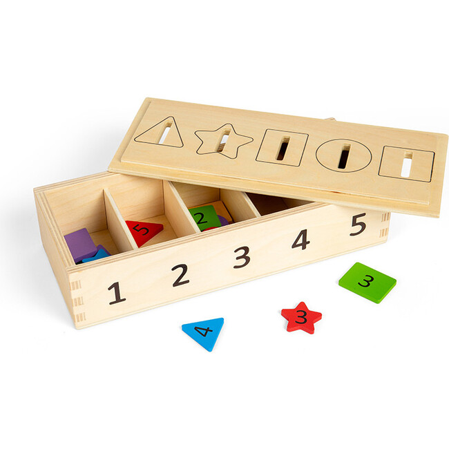 Sorter Box - Developmental Toys - 6