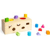Mystery Box - Developmental Toys - 5