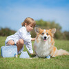 Veterinary Set - Role Play Toys - 9