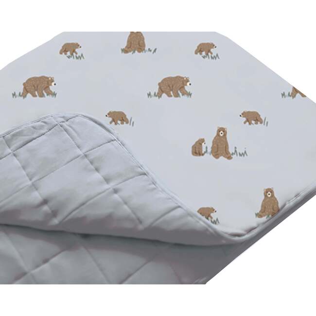 Cozy Cloud Comforter Baby Blanket, 2.5 TOG, Mini, 30x40 Inch, Teddies