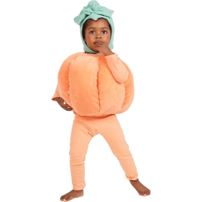 Pumpkin Patch Costume