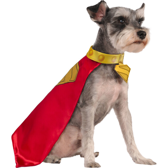 Rubies Superman Movie Krypto Pet Cape and Collar Costume