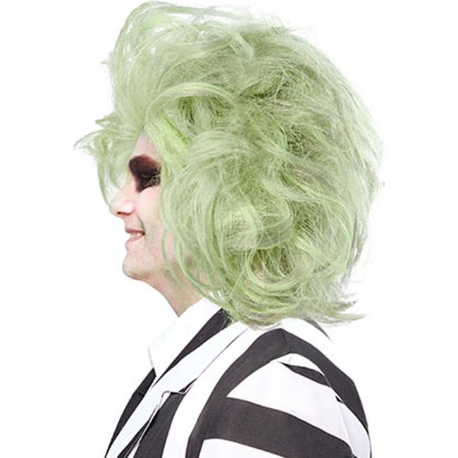 Rubies Beetlejuice Beetlejuice Men's Wig - Costume Accessories - 2