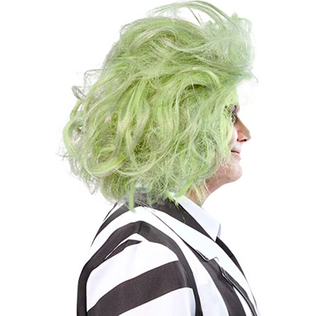 Rubies Beetlejuice Beetlejuice Men's Wig - Costume Accessories - 4