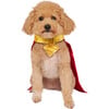 Rubies Superman Movie Krypto Pet Cape and Collar Costume - Costumes - 4 - thumbnail