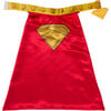 Rubies Superman Movie Krypto Pet Cape and Collar Costume - Costumes - 5 - thumbnail
