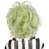 Rubies Beetlejuice Beetlejuice Boys Wig - Costume Accessories - 3