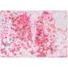 Work Party Confetti Multi-Use Mat - Accents - 1 - thumbnail