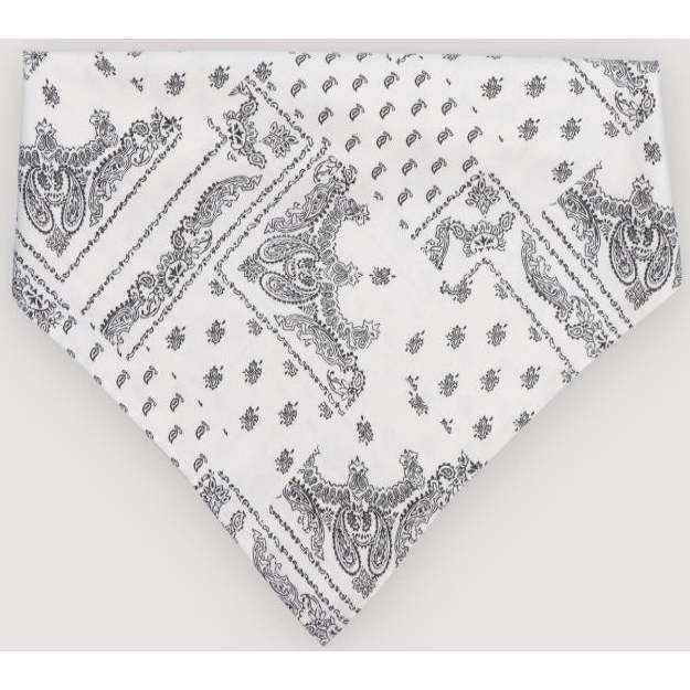 Anika Woman Neck Scarf Print - Scarves - 3