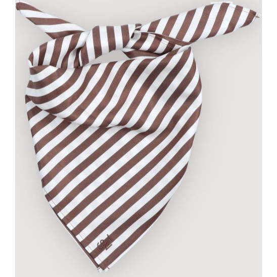 Anika Woman Neck Scarf Roast Stripes